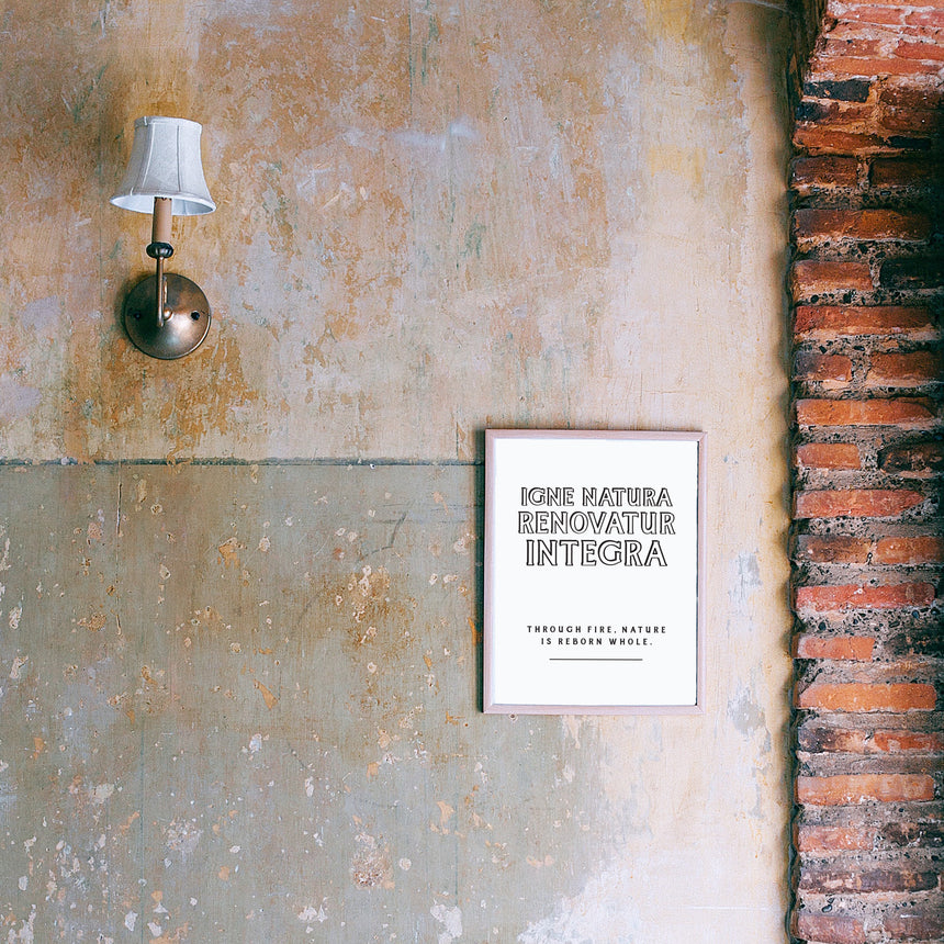 Igne Natura | Latin Inspiration