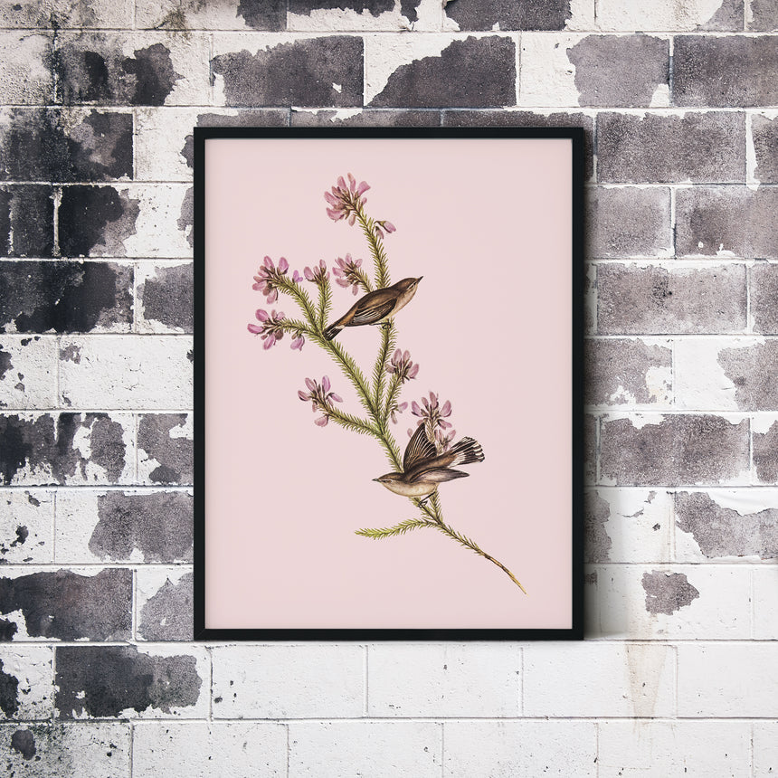 Dusty Pink Robin Florals | Vintage Art